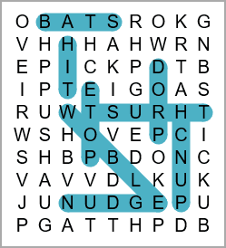 Wordsearch puzzle